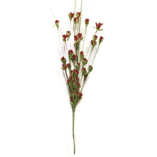 Wild Blossoms Pick Cream {2}