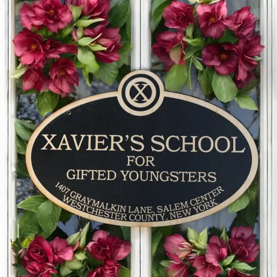 Xavier's School for Gifted Youngsters - Black Door Sign 6x9inches {6}