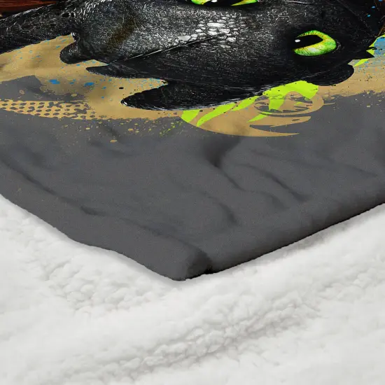 Universal How to Train Your Dragon Silk Touch Sherpa Throw Blanket Follow My Lead {5}