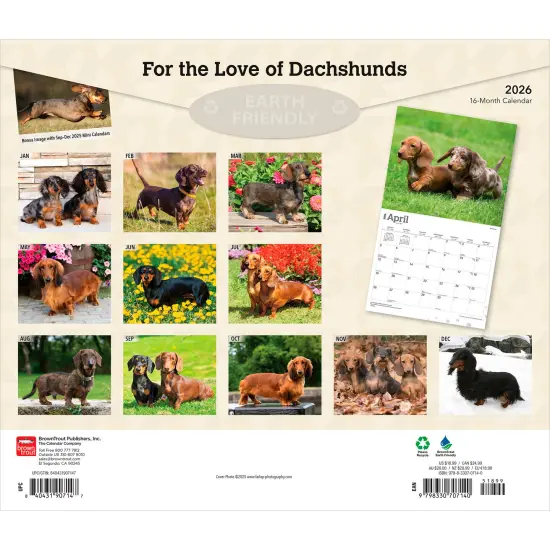 For the Love of Dachshunds | 2026 14 x 24 Inch (Hanging) Monthly Deluxe Wall Calendar | Foil Stamped Cover | Plastic-Free {2}