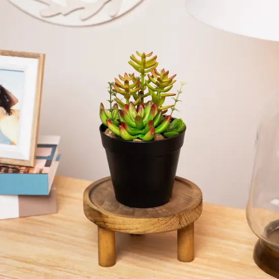 Northlight Artificial Mixed Succulent Plant Arrangement - 8" Green {1}