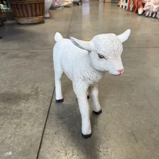 Baby Goat Life Size Statue {4}
