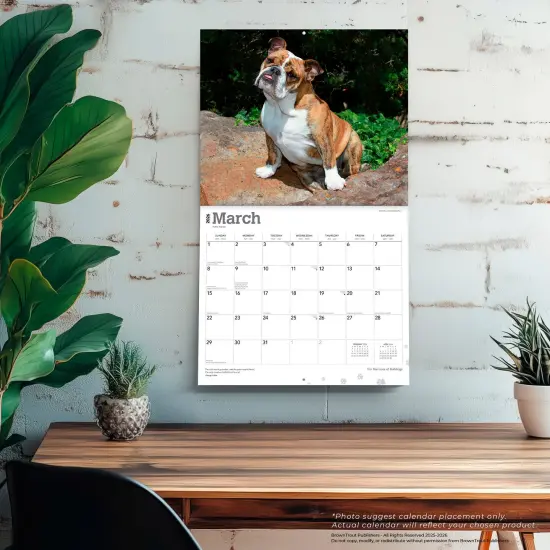 For the Love of Bulldogs | 2026 14 x 24 Inch (Hanging) Monthly Deluxe Wall Calendar | Foil Stamped Cover | Plastic-Free {5}