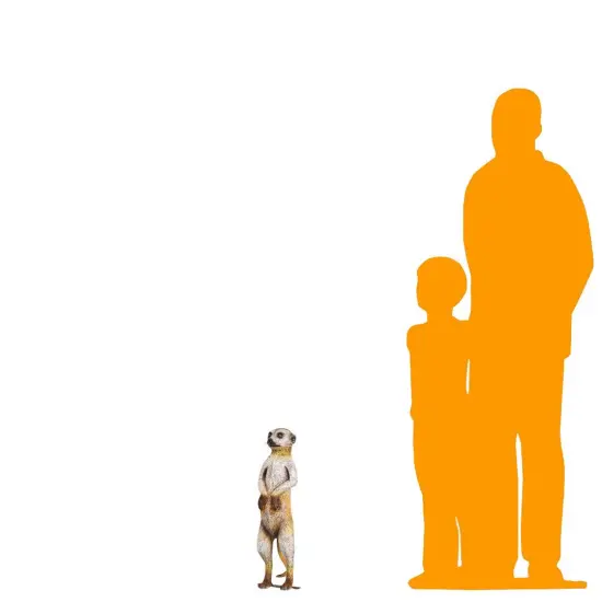 Meerkat Life Size Statue {2}