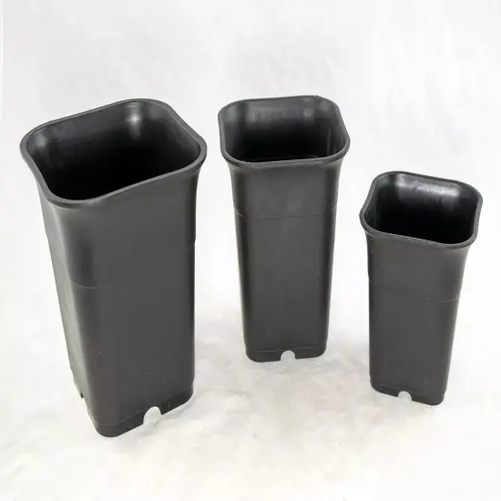 3 Mix Square Plastic Cascade Bonsai Pot, Succulent, Orchid Planter 3.25" - 4.75" {5}