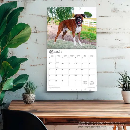 For the Love of Boxers | 2026 14 x 24 Inch (Hanging) Monthly Deluxe Wall Calendar | Foil Stamped Cover | Plastic-Free {5}