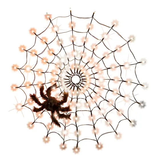Collections Etc LED Lighted Halloween Spider Web Lights with Spider and Remote Control {2}