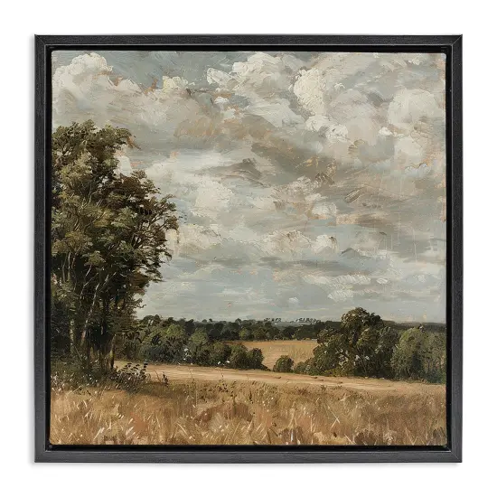 Stupell Industries Clouds Over Country Scenery Floating Frame Design by LSR Creative Studio {1}