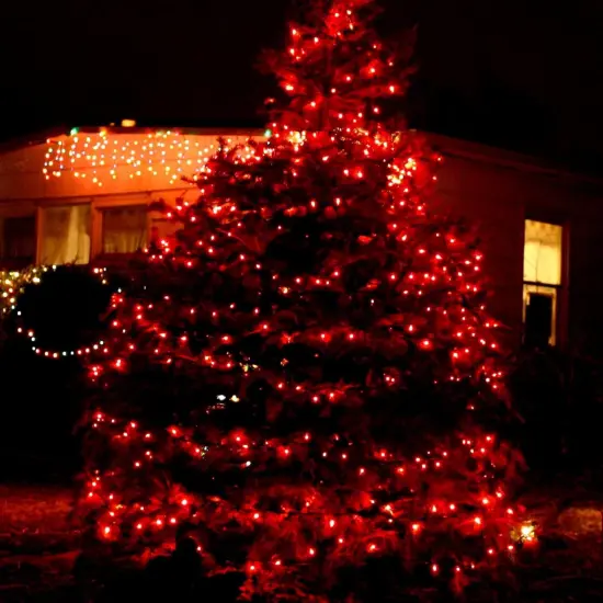 Christmas String Lights, 20FT 100 Count Incandescent White Wire Christmas Mini Lights, Waterproof Xmas String Lights for Outdoor Indoor Home Party Yard Decorations, Red {5}
