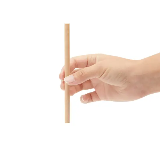 Mason Bee Nest 6mm Cardboard Tubes Refill (6 In, 100-Pack) Brown {6}