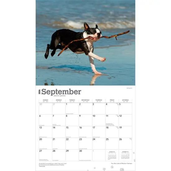 For the Love of Boston Terriers | 2026 14 x 24 Inch (Hanging) Monthly Deluxe Wall Calendar | Foil Stamped Cover | Plastic-Free {4}