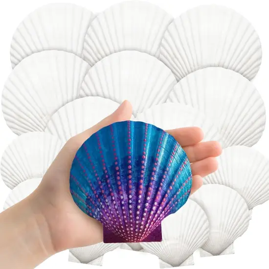 18PCS Large Natural Scallop Shells,4''-5'' White Seashells Bulk for Crafts DIY Painting Baking and Ocean Summer {1}