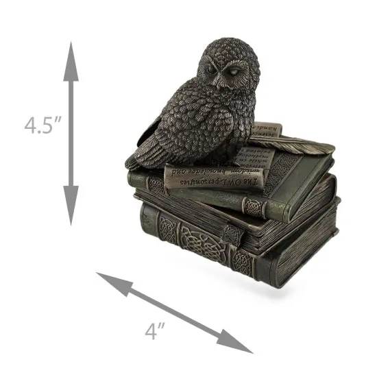Owl Perched On Stack of Books Bronzed Trinket Box/Stash Box Statue {6}