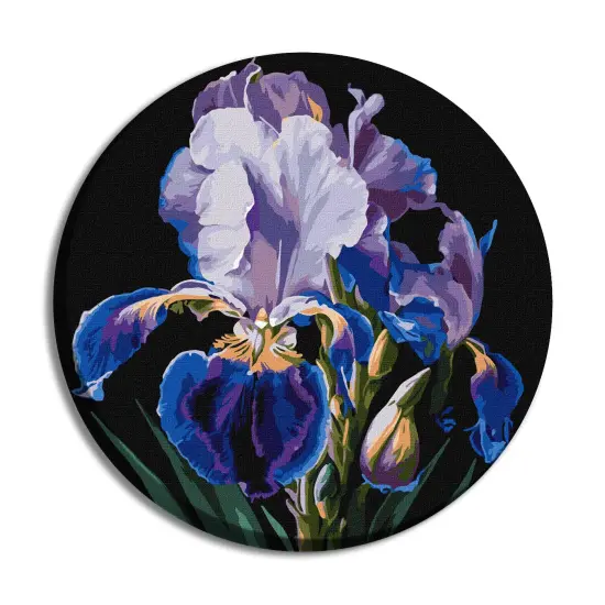 Painting by Numbers kit Delicate irises KHO-R1021 {1}
