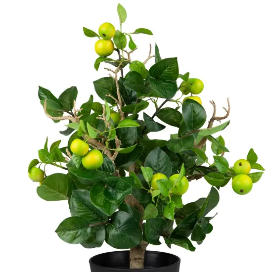 Northlight Bonsai Style Artificial Mini Apple Tree in Pot - 23" Green {7}