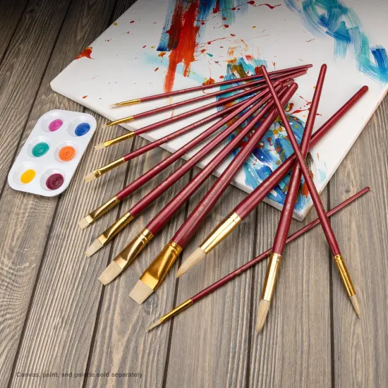 RSET-9319 | 12pc White Bristle Long Handle Variety Brush Set {3}