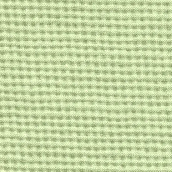 Precut Zweigart Murano 32 count Sage Green {3}