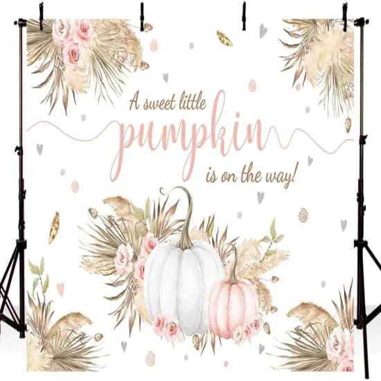 7x5ft Autumn Boho Little Pumpkin Backdrop for Girl Baby Shower Fall Leaves {2}