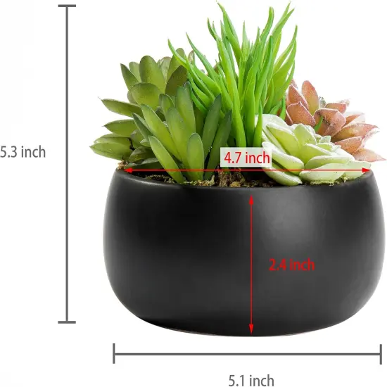 Mini Artificial Succulent in Pot, Fake Plant Arrangement in Black Ceramic Planter Bowl {4}