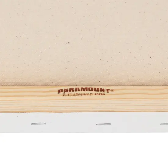 Paramount Canvas for Painting - Pack of 6,White Canvases- 11/16" 100% Cotton Stretched Canvas, Triple-Primed for All Media, Medium Tooth, Back-Stapled, 12oz Primed Weight, Wood Stretcher Bars {4}