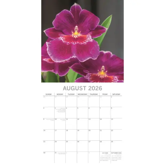 The Gifted Stationary 2026 Square Wall Calendar, Orchids, 16-Month Floral Theme with 180 Reminder Stickers (12x12 In) Multicolor {3}