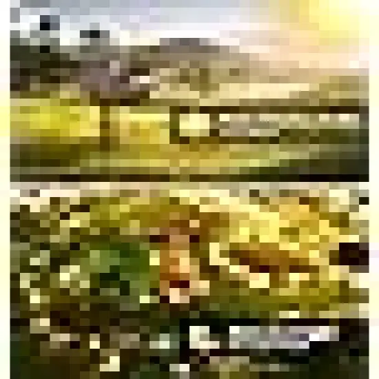 Solar Powered Fairy Lights with 8 Lighting {4}