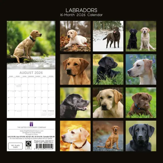 The Gifted Stationary 2026 Square Wall Calendar, Labradors, 16-Month Animals Theme Hanging Calendar with 180 Reminder Stickers, Month Planner for Home and Creative Spaces, 12x12 In Multicolor {4}