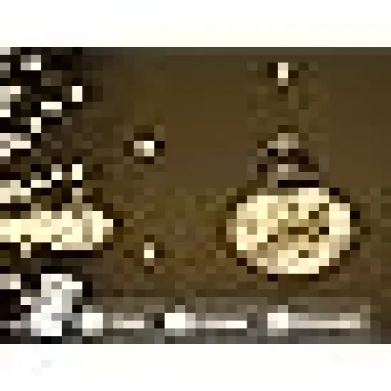 USB Battery Powered Twinkle Globe Fairy {4}