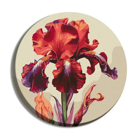 Painting by Numbers kit Magic iris KHO-R1023 {1}