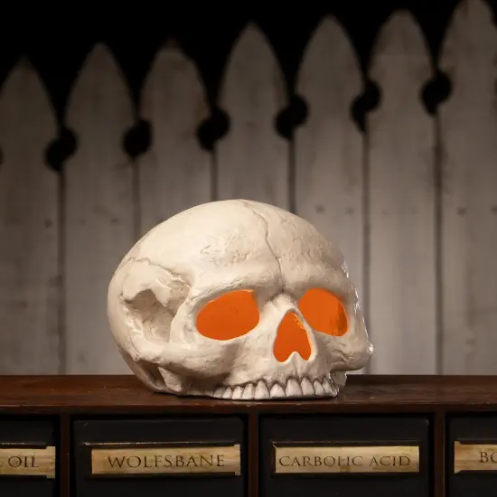 BETHANY LOWE SKULL VOTIVE {2}