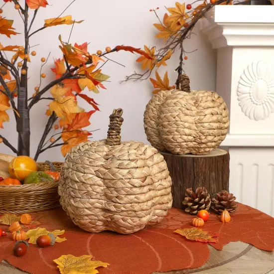 2 Pack Pumpkin Fall Decor - (Beige) {4}