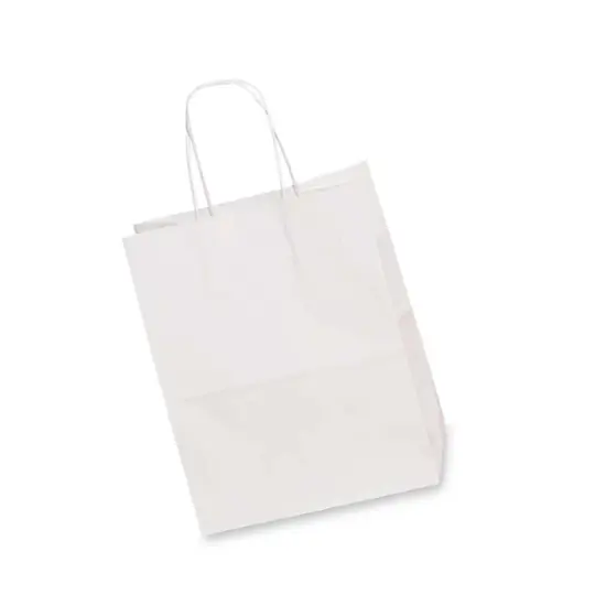 Glossy Carry Bags 8'' X 4 3/4'' X 10 1/4'' for Retail White {4}