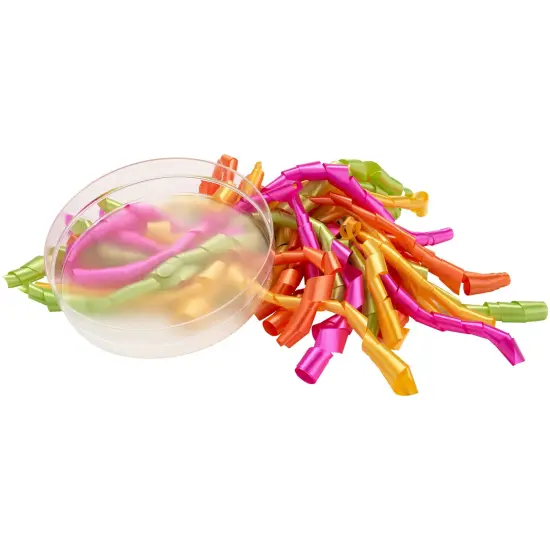 Pioneer Plastics 173C Clear Round Plastic Container with Frosted Bottom, 6" W x 1.375" H {5}