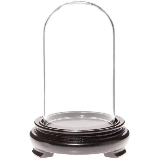 Plymor 2.5" x 4.5" Glass Display Dome Cloche Black Wood Veneer {1}