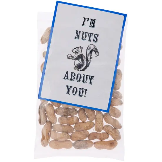 Plymor 6" x 9", 2 Mil with Pouch Zipper Reclosable Plastic Bags {4}