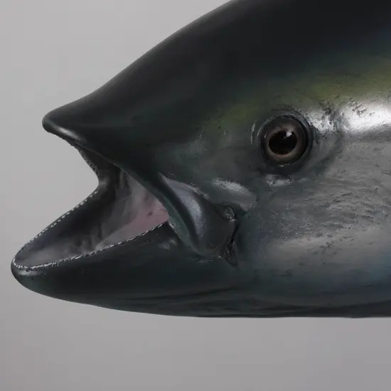 Yellow Fin Tuna Fish Statue {5}