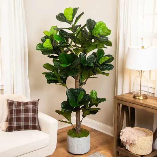 Northlight Potted Two Tone Green Artificial Wide Fiddle Leaf Fig Tree - 6.25' {1}
