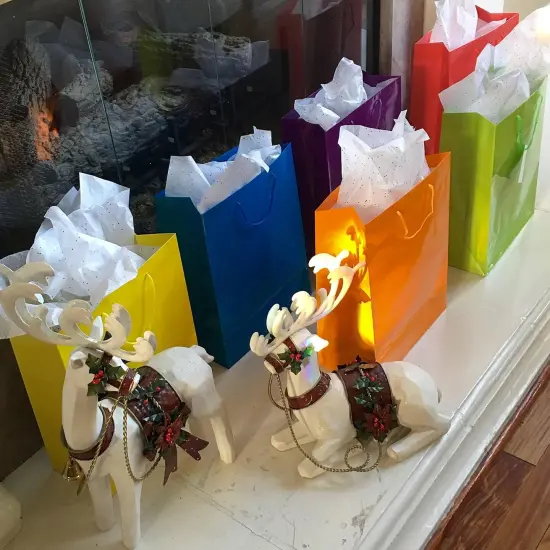 12 Assorted (13" h x 10" w x 4 1/2" d) Bright Neon Colored Party Present Paper Gift Bags {5}