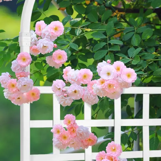 Vinyl Garden Trellis Plant Support 42"x75" {3}