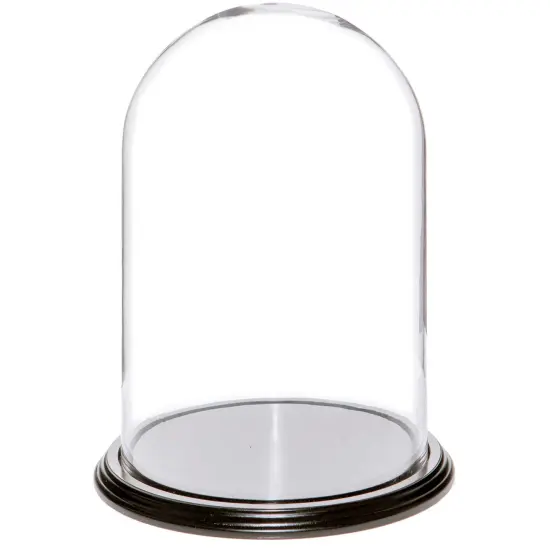 Plymor 8" x 12" Glass Display Dome Cloche Black Wood Veneer {1}