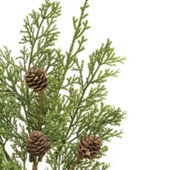 14" Long Western Cedar and Pine-cone Pick with Flexible Stem {2}