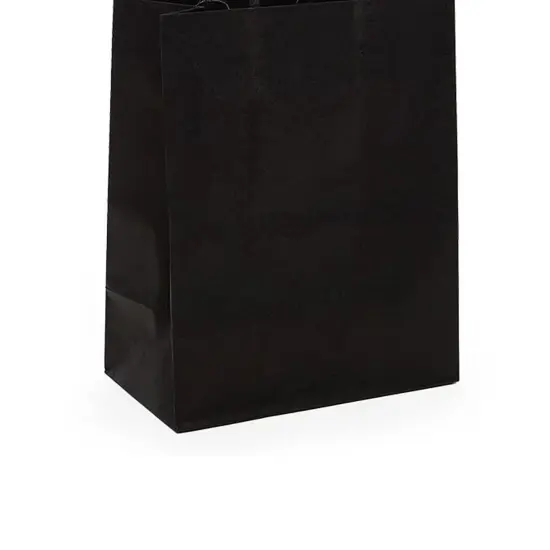 Compact Kraft Paper Shopping Bag 5.5" x 3.25" x 13" {6}