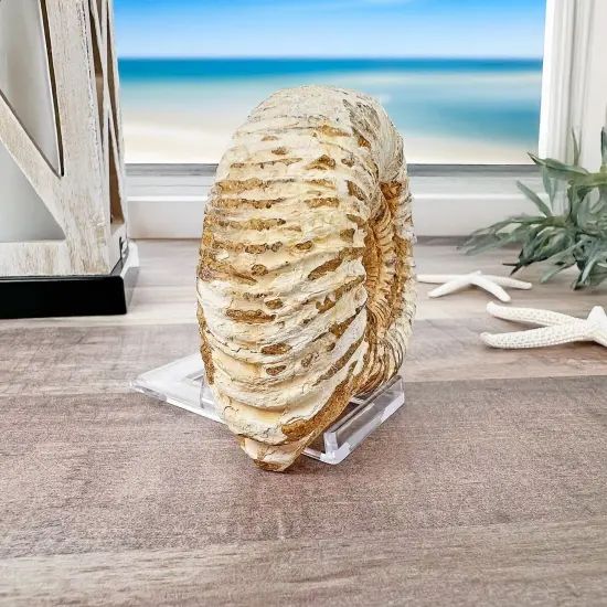 Plymor Clear Acrylic Sliding-Back Adjustable Display Easel, 2" H x 1.5" W x 2.625" D {5}