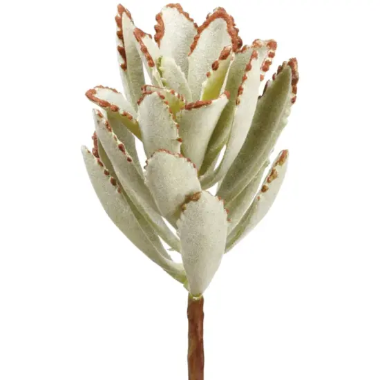 Allstate Kalanchoe Two-Tone Artificial Pick Spray - 7" - Green {1}