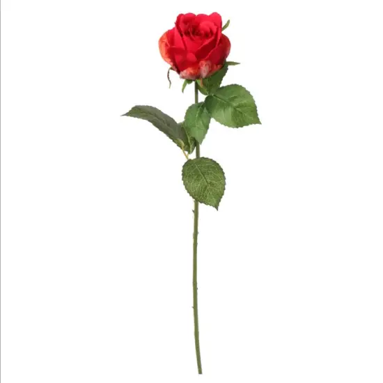 20" Rose Bud Stem - 12 PACK {4}