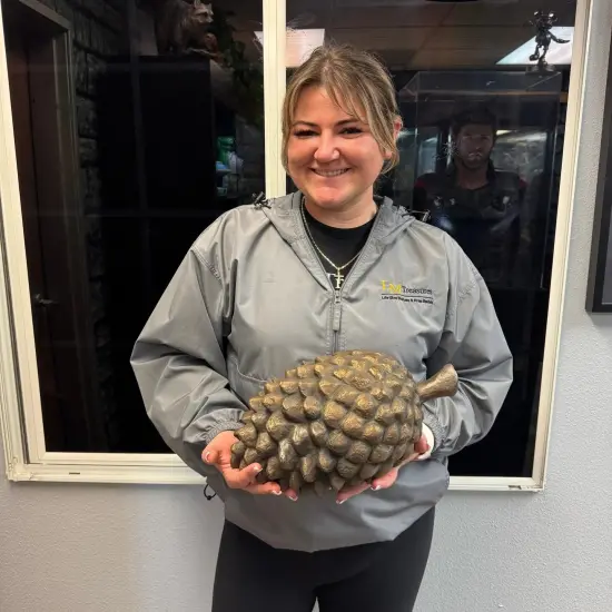 Large Pine Cone Decor Statue {3}