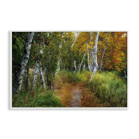 Walk In The Hemlocks Forest Framed Giclee Art Black {7}