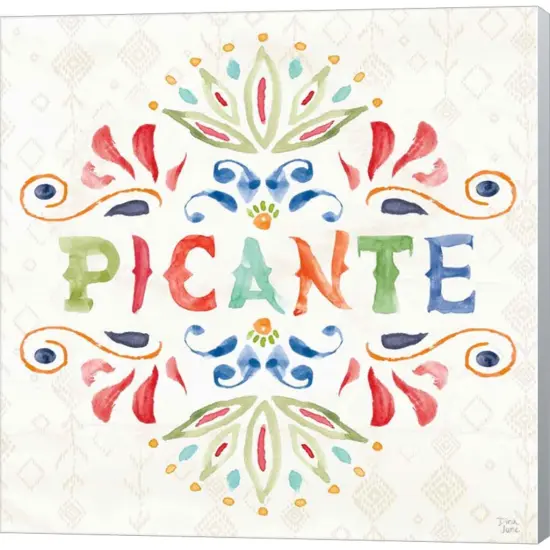 Sweet and Spicy XII by Dina June 12" x 12" Canvas Wall Art {1}