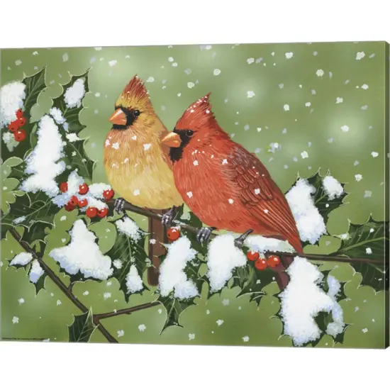 Wintery Cardinals by William Vanderdasson 20" x 16" Canvas Wall Art {1}