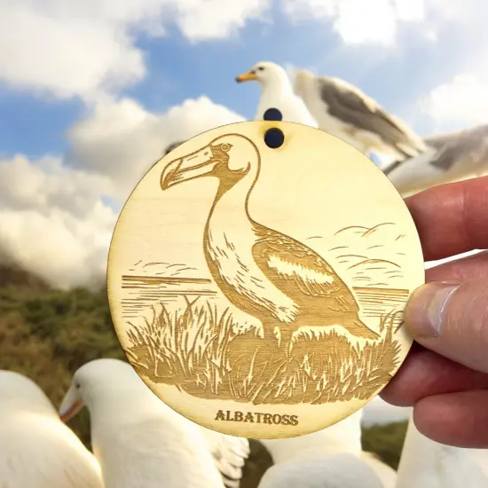 Ornament - Albatross Raw Wood {6}